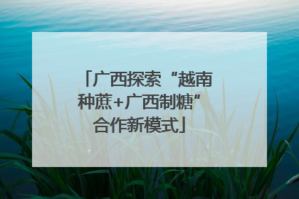 广西探索“越南种蔗+广西制糖”合作新模式