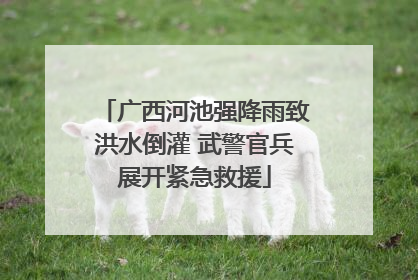 广西河池强降雨致洪水倒灌 武警官兵展开紧急救援