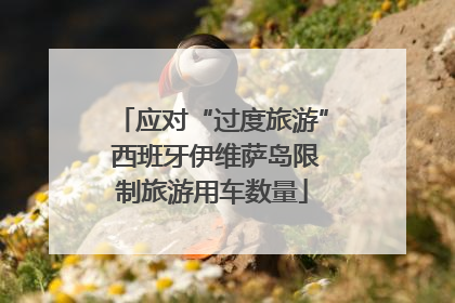 应对“过度旅游” 西班牙伊维萨岛限制旅游用车数量