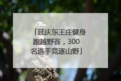 延庆东王庄健身跑越野赛，300名选手竞逐山野
