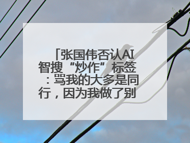 张国伟否认AI智搜“炒作”标签：骂我的大多是同行，因为我做了别人做不了的事