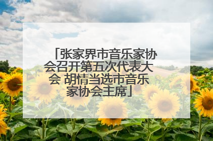 张家界市音乐家协会召开第五次代表大会 胡情当选市音乐家协会主席