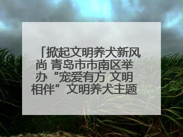 掀起文明养犬新风尚 青岛市市南区举办“宠爱有方 文明相伴”文明养犬主题宣传活动