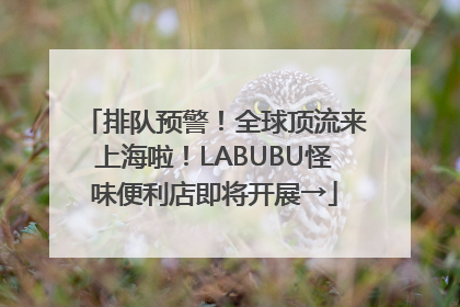 排队预警！全球顶流来上海啦！LABUBU怪味便利店即将开展→