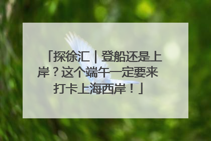 探徐汇｜登船还是上岸？这个端午一定要来打卡上海西岸！