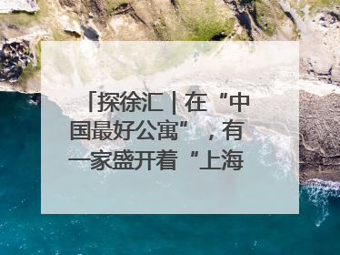 探徐汇｜在“中国最好公寓”，有一家盛开着“上海玫瑰”的书店