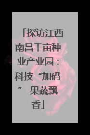 探访江西南昌千亩种业产业园：科技“加码” 果蔬飘香