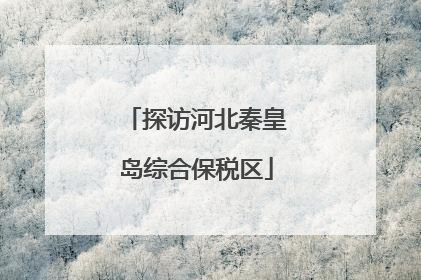 探访河北秦皇岛综合保税区