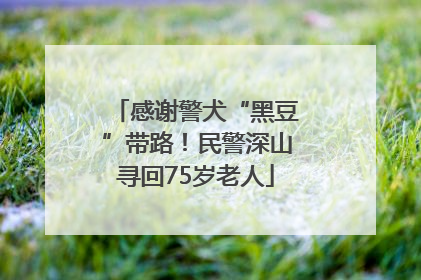 感谢警犬“黑豆”带路！民警深山寻回75岁老人