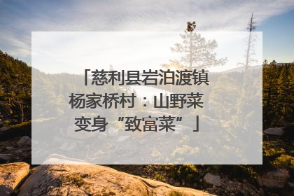 慈利县岩泊渡镇杨家桥村：山野菜变身“致富菜”