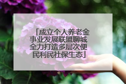成立个人养老金事业发展联盟聊城全力打造多层次便民利民社保生态