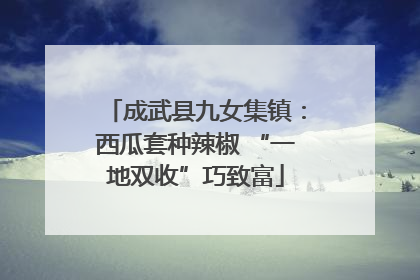 成武县九女集镇：西瓜套种辣椒 “一地双收”巧致富