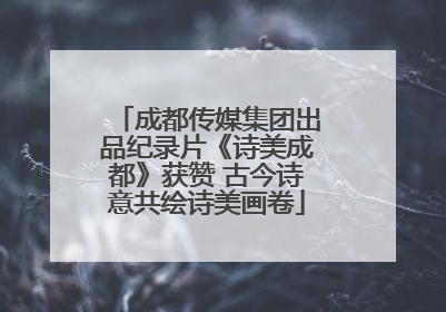 成都传媒集团出品纪录片《诗美成都》获赞 古今诗意共绘诗美画卷
