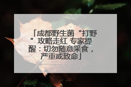 成都野生菌“打野”攻略走红 专家提醒：切勿随意采食，严重或致命