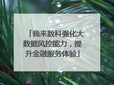 我来数科强化大数据风控能力，提升金融服务体验
