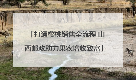 打通樱桃销售全流程 山西邮政助力果农增收致富