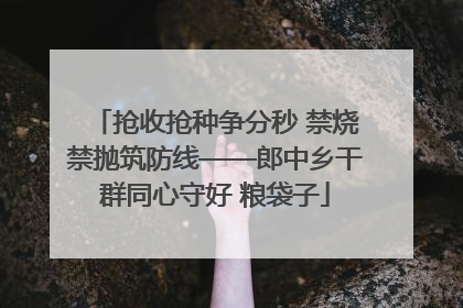 抢收抢种争分秒 禁烧禁抛筑防线——郎中乡干群同心守好 粮袋子