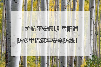 护航平安假期 岳阳消防多举措筑牢安全防线