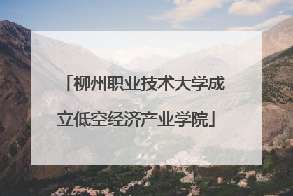 柳州职业技术大学成立低空经济产业学院