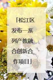 松江区发布一系列产教融合创新合作项目