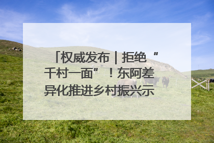 权威发布｜拒绝“千村一面”！东阿差异化推进乡村振兴示范片区建设