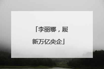 李丽娜，履新万亿央企