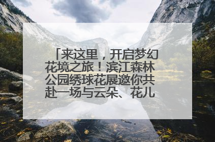 来这里，开启梦幻花境之旅！滨江森林公园绣球花展邀你共赴一场与云朵、花儿的浪漫之约