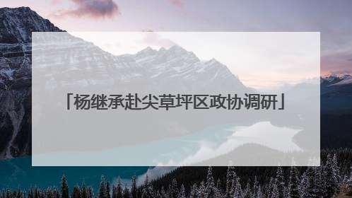 杨继承赴尖草坪区政协调研