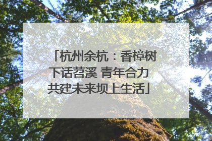 杭州余杭：香樟树下话苕溪 青年合力共建未来坝上生活
