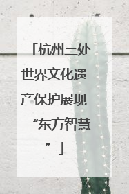 杭州三处世界文化遗产保护展现“东方智慧”