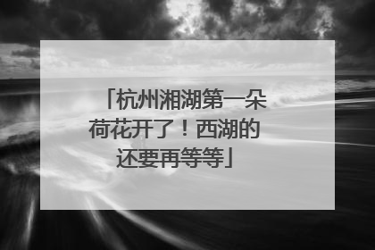 杭州湘湖第一朵荷花开了！西湖的还要再等等