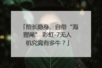 擅长隐身、自带“海狸尾” 彩虹-7无人机究竟有多牛？
