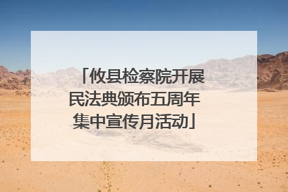 攸县检察院开展民法典颁布五周年集中宣传月活动