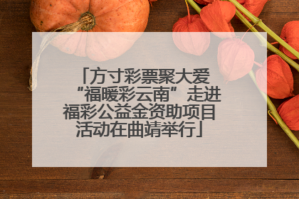 方寸彩票聚大爱 “福暖彩云南”走进福彩公益金资助项目活动在曲靖举行