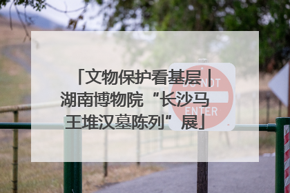 文物保护看基层｜湖南博物院“长沙马王堆汉墓陈列”展