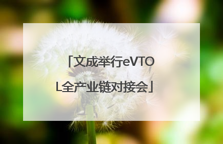 文成举行eVTOL全产业链对接会