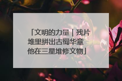文明的力量｜残片堆里拼出古蜀华章 他在三星堆修文物