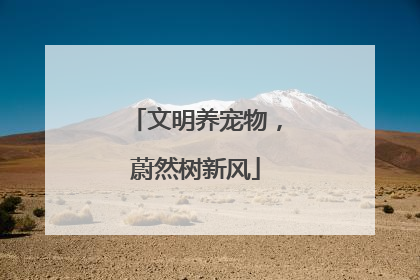 文明养宠物，蔚然树新风