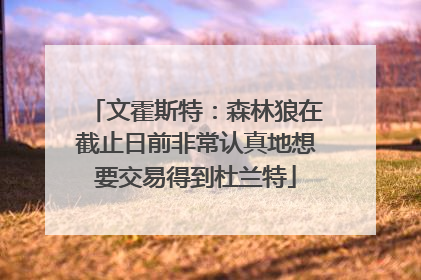 文霍斯特：森林狼在截止日前非常认真地想要交易得到杜兰特