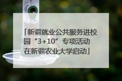新疆就业公共服务进校园“3+10”专项活动在新疆农业大学启动