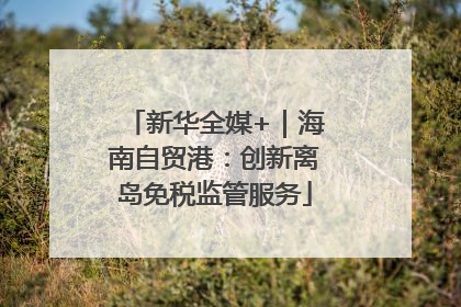 新华全媒+｜海南自贸港：创新离岛免税监管服务