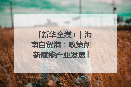 新华全媒+｜海南自贸港：政策创新赋能产业发展