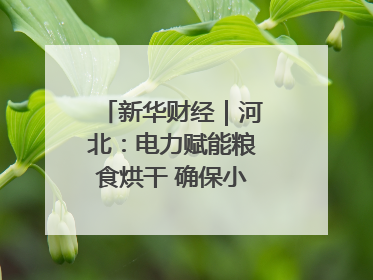 新华财经｜河北：电力赋能粮食烘干 确保小麦高质量归仓