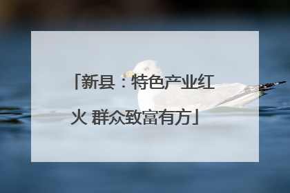 新县：特色产业红火 群众致富有方