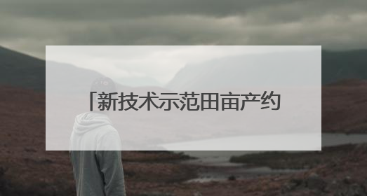 新技术示范田亩产约2000公斤！海南甘薯示范种植有好消息