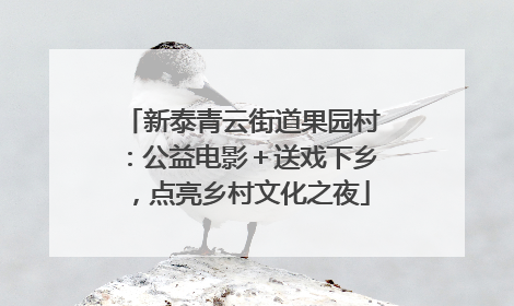 新泰青云街道果园村：公益电影＋送戏下乡，点亮乡村文化之夜