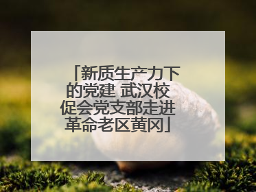 新质生产力下的党建 武汉校促会党支部走进革命老区黄冈