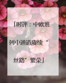 时评：中欧班列中通道赓续“丝路”繁荣