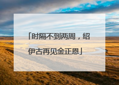 时隔不到两周，绍伊古再见金正恩