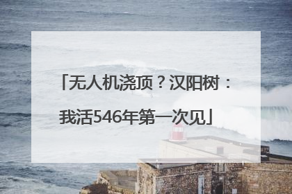 无人机浇顶？汉阳树：我活546年第一次见